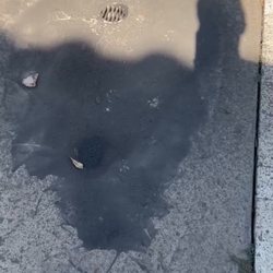 Ory's Plumbing Solutions - The hydrojetted my French drains but left the blowout all over the deck.