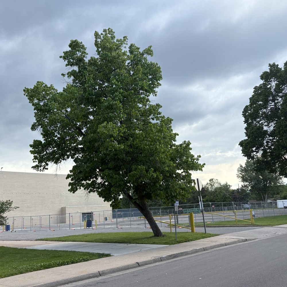 John F Kennedy High School - Middle Schools & High Schools Near Me - Denver, Colorado