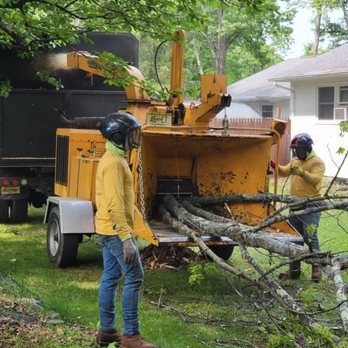 Cypress Tree Service - Always, safety first! - Tree Services Near Me - Byram Township, New Jersey Cypress Tree Service - Always, safety first! - Tree Services Near Me - Byram Township, New Jersey