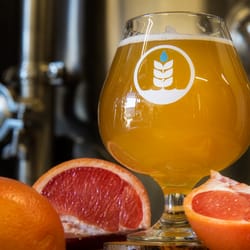 Evangeline (Gose with Grapefruit & Himalayan Sea Salt)