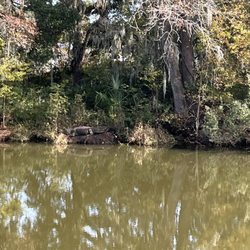 Naval Consolidated Brig Charleston - Old Charlie, over 12.5 feet!