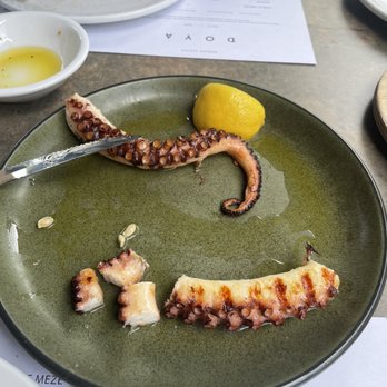 Doya - Octopus - Turkish Near Me - Miami, Florida Doya - Octopus - Turkish Near Me - Miami, Florida