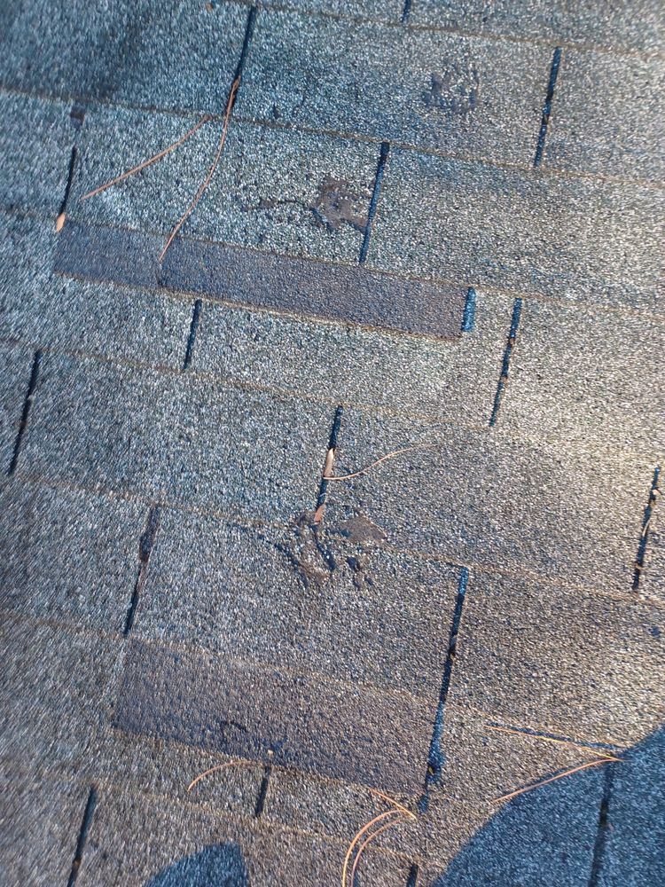 Slide of Roy's Roof Repair