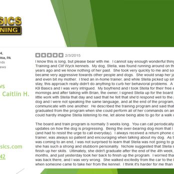 K9 Basics Dog Training - Training Aggressive Dogs - Pet Training Near Me - Marlton, New Jersey