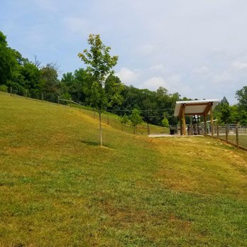 I.C. King Dog Park - Sitting area - Dog Parks Near Me - Knoxville, Tennessee I.C. King Dog Park - Sitting area - Dog Parks Near Me - Knoxville, Tennessee