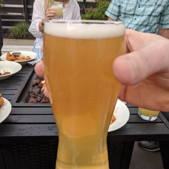 Bingo Beer - Breweries Near Me - Richmond, Virginia
