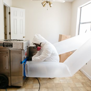 Disaster Plus - 33 years of performing Mold Remediation services in Charleston. - Damage Restoration Near Me - Mt Pleasant, South Carolina