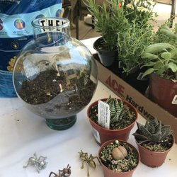 Terrarium demonstration for Oakmont