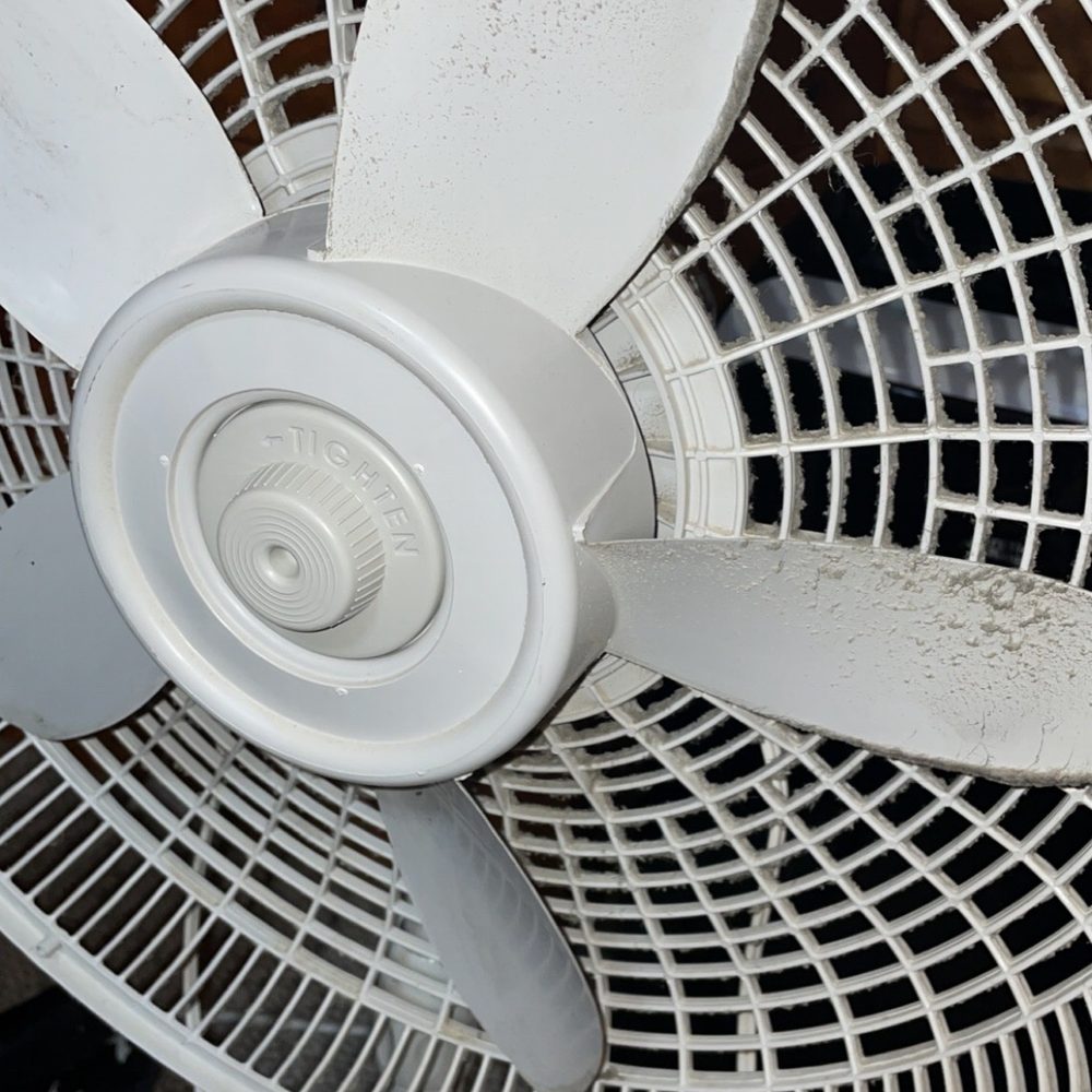Auntie Belham's Cabin Rentals - Dirty fan which I cleaned front and blades but not the back - Vacation Rentals Near Me - Pigeon Forge, Tennessee