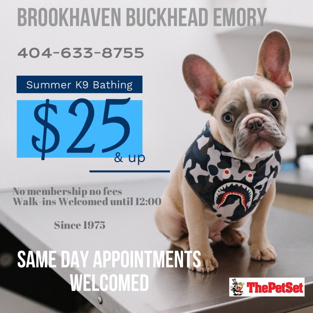 THE PET SET Updated September 2024 532 Photos & 208 Reviews 2480