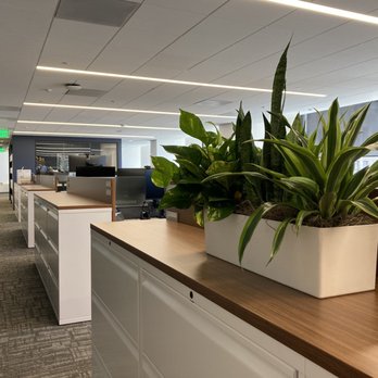 The Wright Gardner - bringing life to the office! - Nurseries & Gardening Near Me - South San Francisco, California The Wright Gardner - bringing life to the office! - Nurseries & Gardening Near Me - South San Francisco, California
