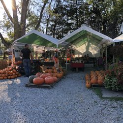 Beck's Farm & Market - 10//14/17 fall selection!