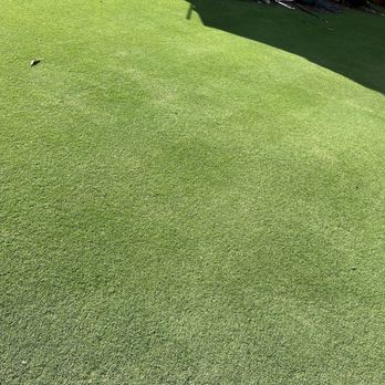 Longest Yard Landscape - a green lawn with a bird on it - Landscaping Near Me Longest Yard Landscape - a green lawn with a bird on it - Landscaping Near Me