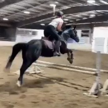 All Tacked Up - Horseback Riding Near Me - Spanaway, Washington All Tacked Up - Horseback Riding Near Me - Spanaway, Washington