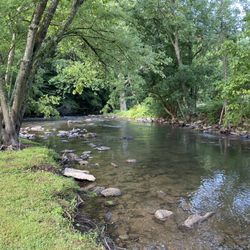 Sinking Creek New River Tributary - Sinking Creek near Link Farm Covered Bridge (5 miles from where it goes dry)
