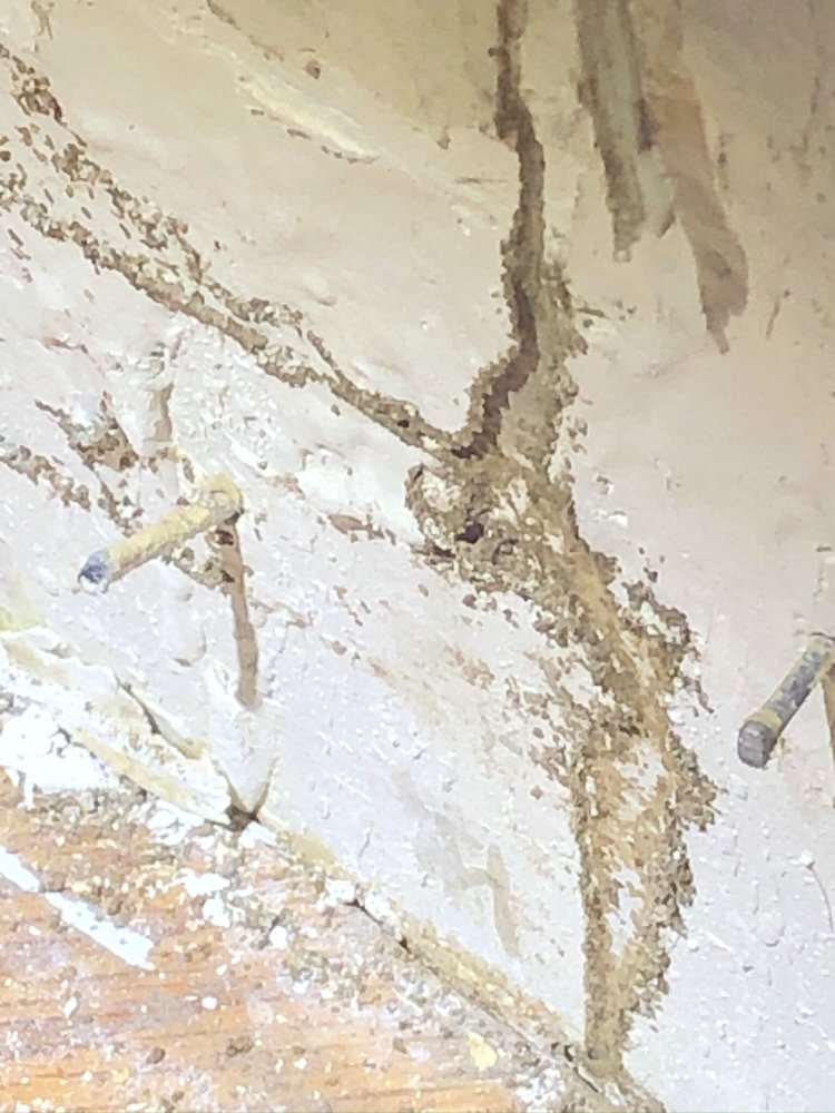 Paladin Pest Control - veterans service organization in Colorado Springs, CO