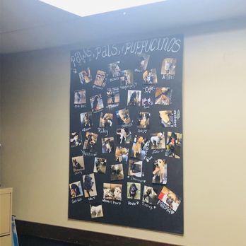 Starbucks - How can you not luv this place when they have your dog on the wall - Coffee & Tea Near Me - Springfield, Missouri Starbucks - How can you not luv this place when they have your dog on the wall - Coffee & Tea Near Me - Springfield, Missouri
