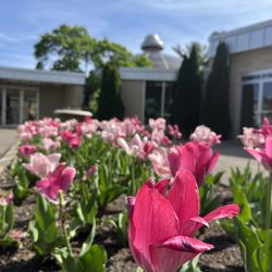Washington Park Botanical Garden