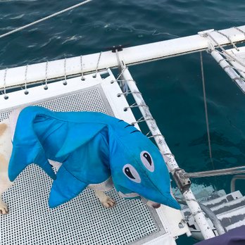 Oahu Catamarans - Sushi - Boat Charters Near Me - Honolulu, Hawaii