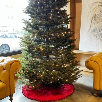 Morimoto Napa - Beautiful Christmas Tree - Japanese Near Me - Napa, California