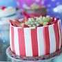 Photo of Cakes and Gateau