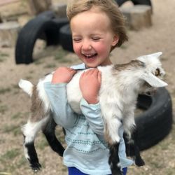 Amy Rogge & Associates - A different kind of sensory experience