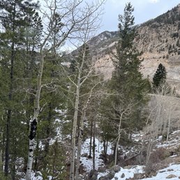 A mountain landscape with a variety of trees, including evergreens and leafless deciduous trees, with snow on the ground and rocks. A railway track runs along the hillside in the background, with mountain slopes visible behind the trees. The sky is partly cloudy.