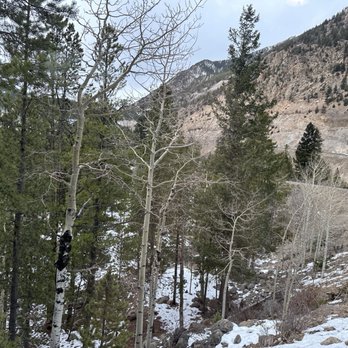 Georgetown Loop Railroad - A mountain landscape with a variety of trees, including evergreens and leafless deciduous trees, with snow on the ground and rocks. A railway track runs along the hillside in the background, with mountain slopes visible behind the trees. The sky is partly cloudy. - Museums Near Me - Georgetown, Colorado