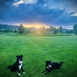 Spring Canyon Park - Beautiful as always !!