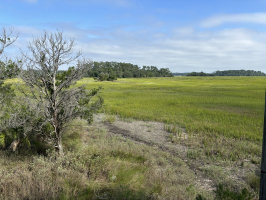 Skidaway Island State Park by null