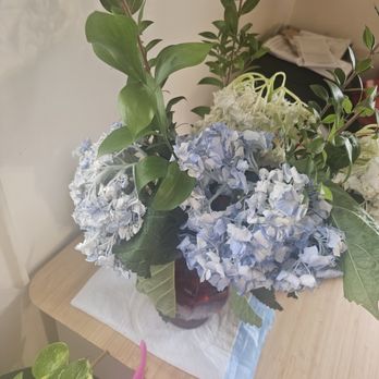 Jubilee Marketplace - flowers purchased less than 48hrs ago - Grocery Near Me - New York, New York Jubilee Marketplace - flowers purchased less than 48hrs ago - Grocery Near Me - New York, New York