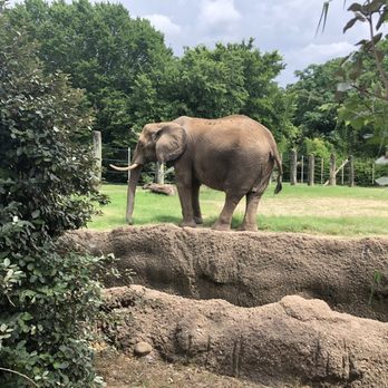 Cameron Park Zoo - Zoos Near Me - Waco, Texas