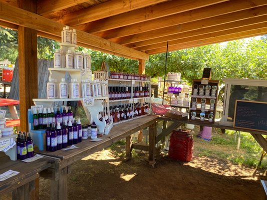 Wayward Winds Lavender Farm by null