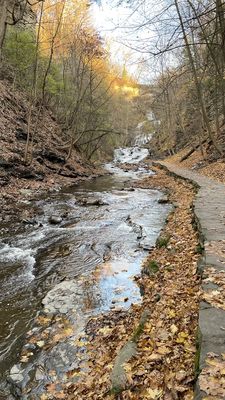 Cascadilla Gorge Trail by null