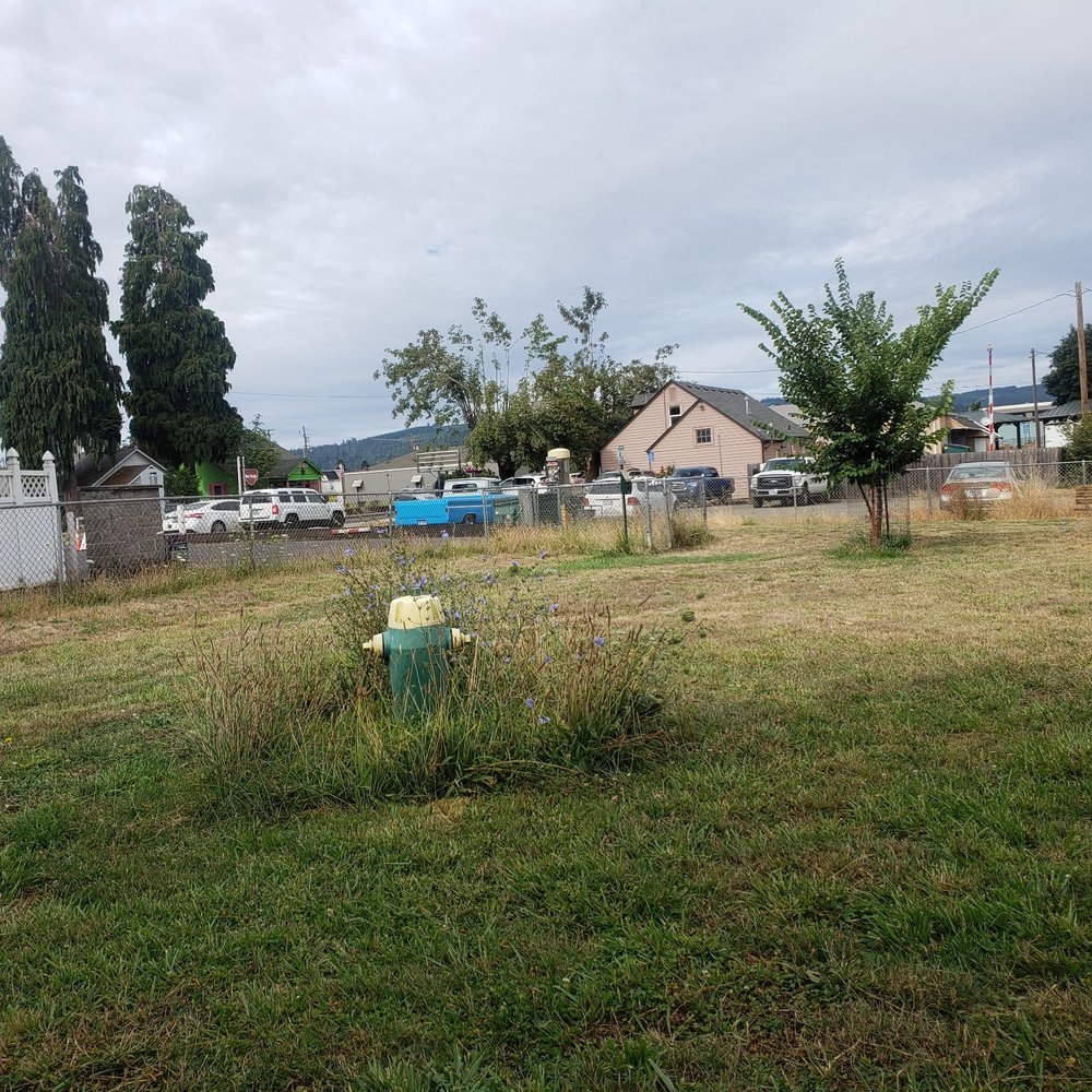 Lulu's Dog Park - Lulu's Dog Park looking toward Main St in Cottage Grove, Oregon. - Dog Parks Near Me - Cottage Grove, Oregon Lulu's Dog Park - Lulu's Dog Park looking toward Main St in Cottage Grove, Oregon. - Dog Parks Near Me - Cottage Grove, Oregon