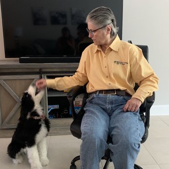 Behavior Training for Dogs - Pet Training Near Me Behavior Training for Dogs - Pet Training Near Me