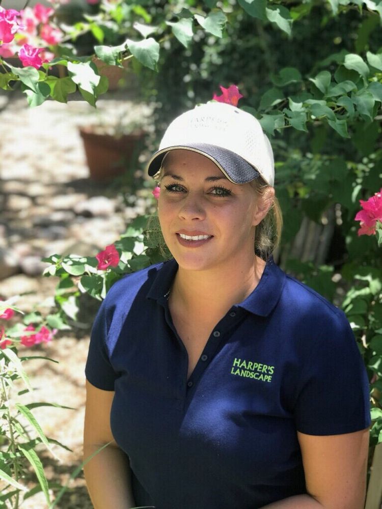 Harpers Landscaping - tree service in Tucson, AZ