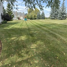 Side lawn Side lawn