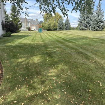 Weiss Lawn Care - Side lawn - Pest Control Near Me - Carol Stream, Illinois Weiss Lawn Care - Side lawn - Pest Control Near Me - Carol Stream, Illinois
