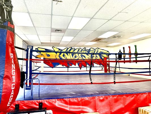 PINNACLE BOXING - Updated June 2026 - 12 Photos - 257 Pinnacle Street ...
