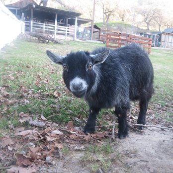 OLD BORGES RANCH - Updated September 2025 - 185 Photos & 28 Reviews ...