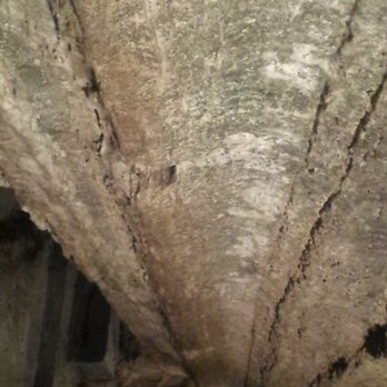 Bonnechere Caves - Parks Near Me - Eganville, Ontario Bonnechere Caves - Parks Near Me - Eganville, Ontario