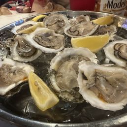 Fresh Raw Oysters