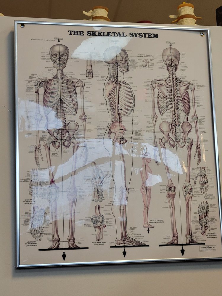 QUEST CHIROPRACTIC Updated October 2024 17 Reviews 550 E Devon