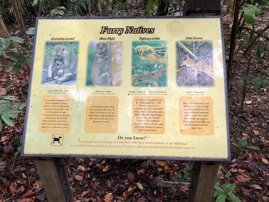 Lower Peirce Reservoir Park by null