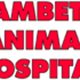 Lambeth Animal Hospital
