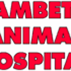 Lambeth Animal Hospital - Logo