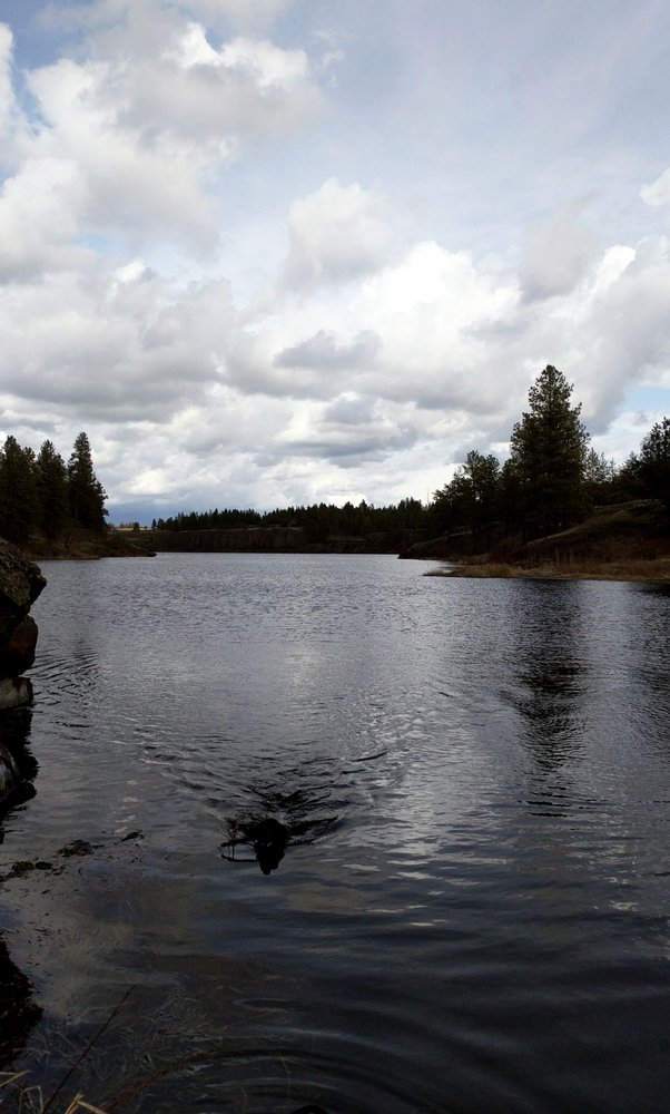 FISHTRAP LAKE RESORT 20 Photos RV Parks 29920 W Scroggie Rd