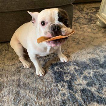 Posh Paws and Claws Pet Care - Pet Sitting Near Me Posh Paws and Claws Pet Care - Pet Sitting Near Me
