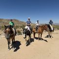 Phoenix Rider Stable PONDEROSA STABLES - Updated June 2026 - 396 Photos & 269 Reviews ...